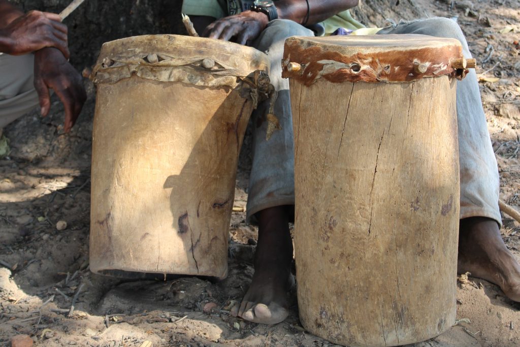 Read more about the article Nyaudzosingwi| Many Shona words for 101 English verbs